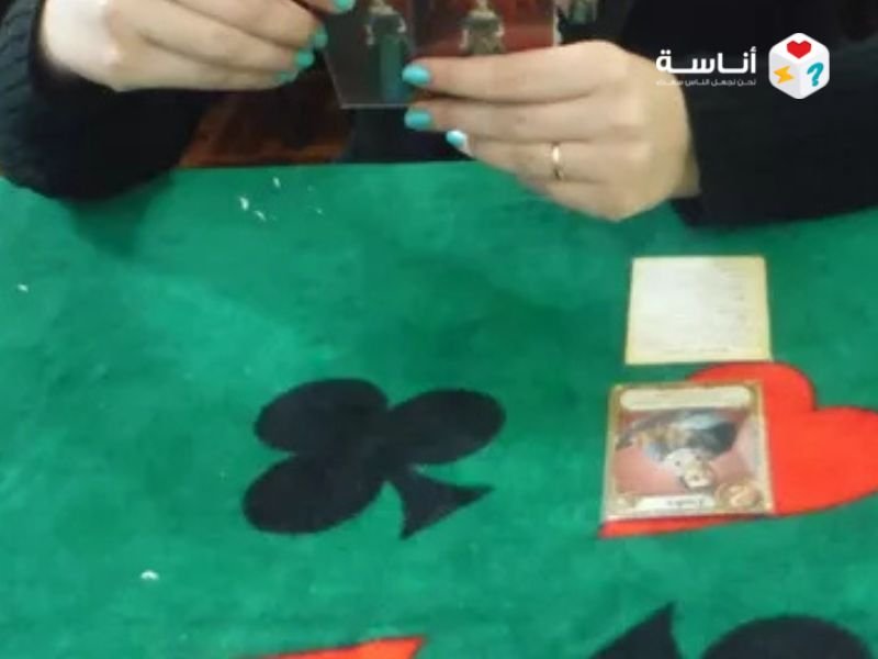 مراجعة لعبة Point Salad: حين تتحول "السلطة" إلى معركة ذكاء.. هل تستطيع جمع المكونات المثالية للفوز؟